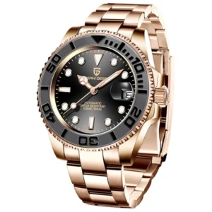 Đồng Hồ Nam Pagani Design PD-1651